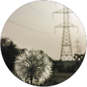 siL SiL profile picture